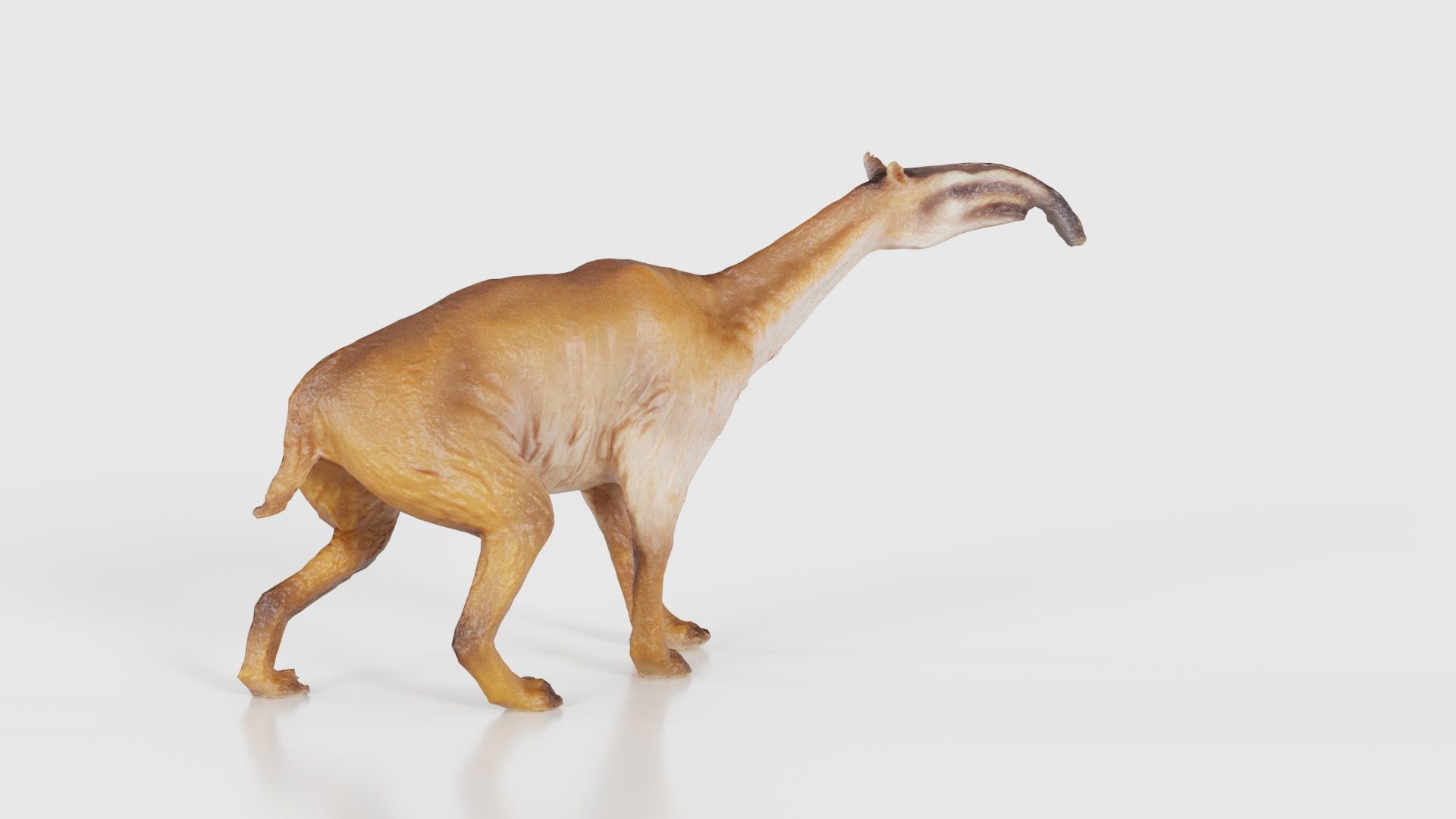 Prehistoric Low-poly 3D model_17