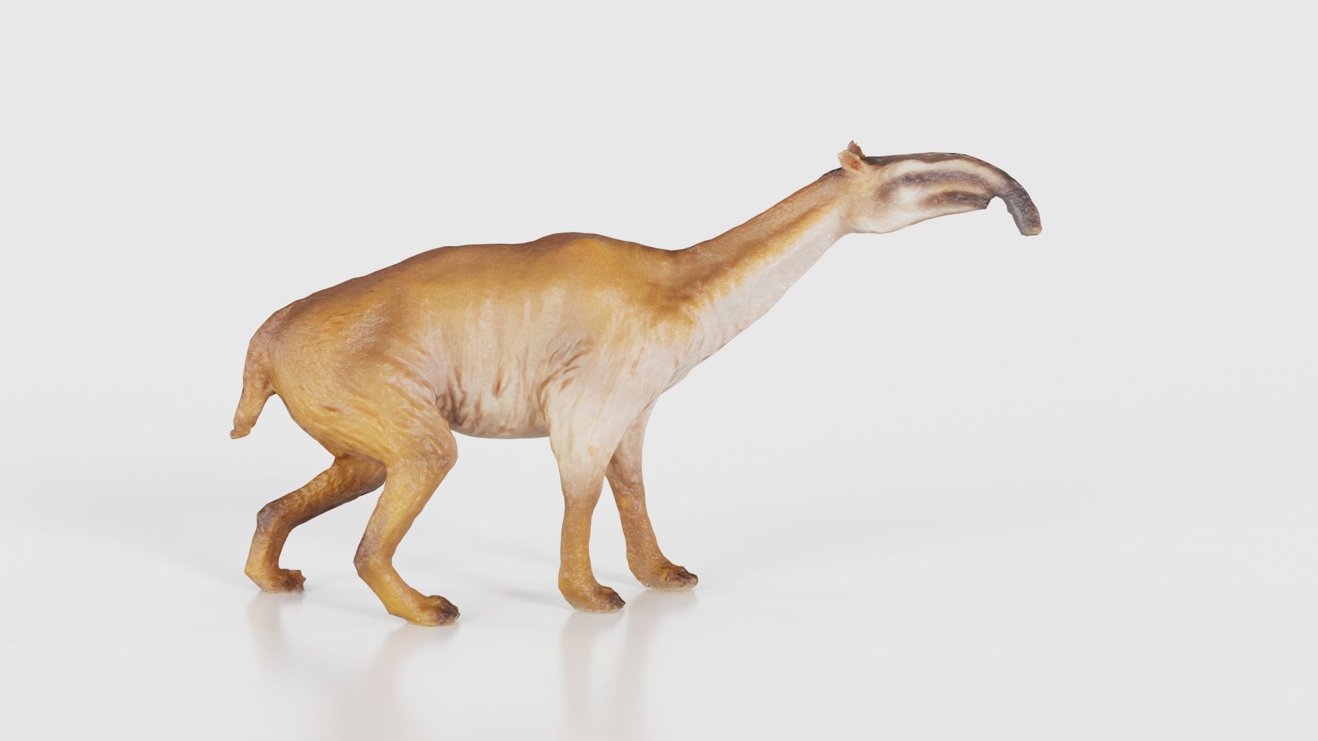 Prehistoric Low-poly 3D model_16