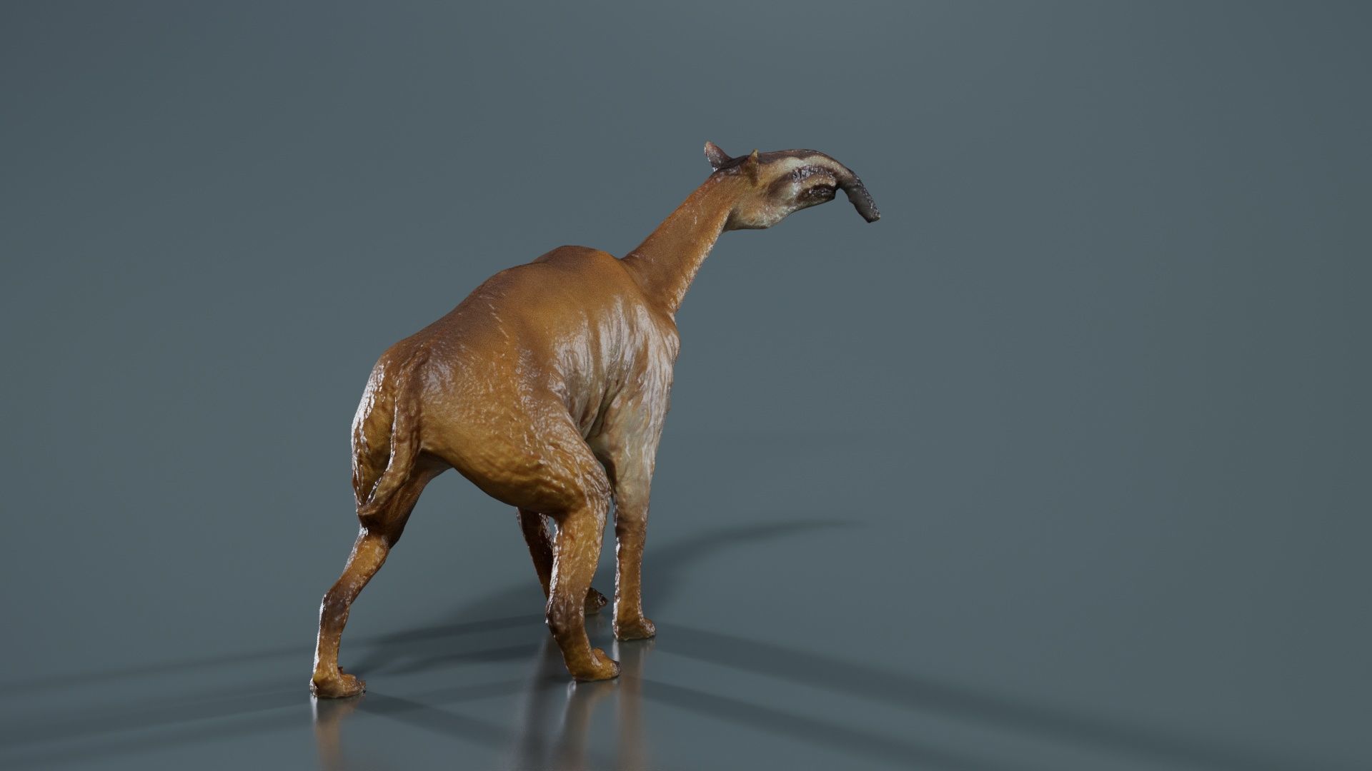 Prehistoric Low-poly 3D model_3
