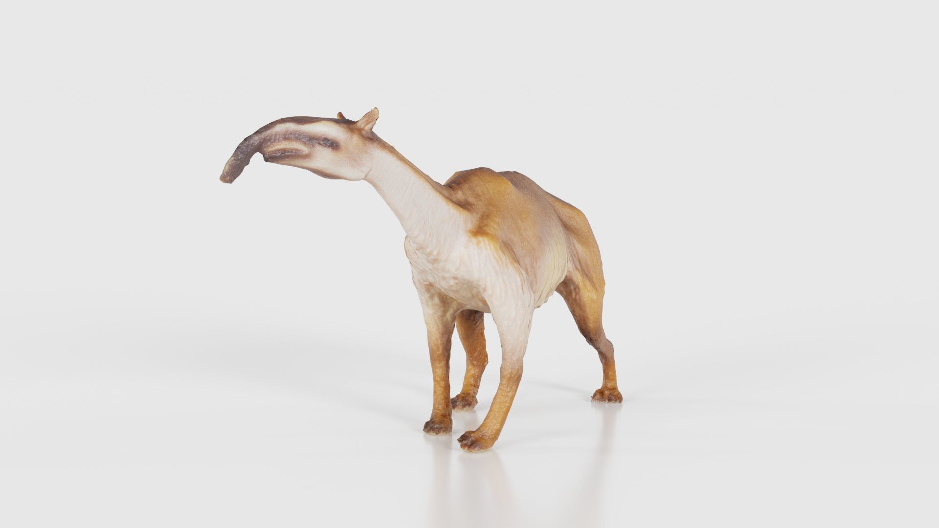 Prehistoric Low-poly 3D model_24