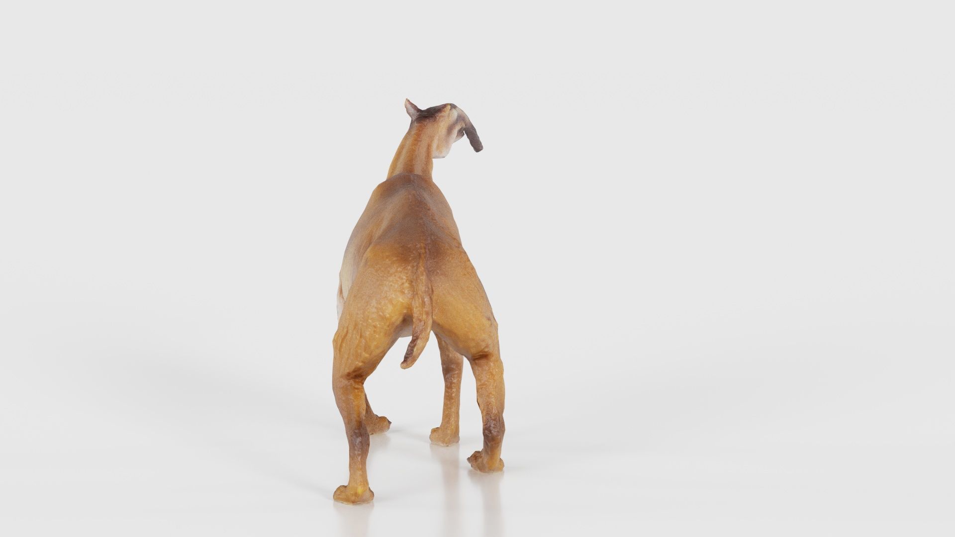 Prehistoric Low-poly 3D model_19