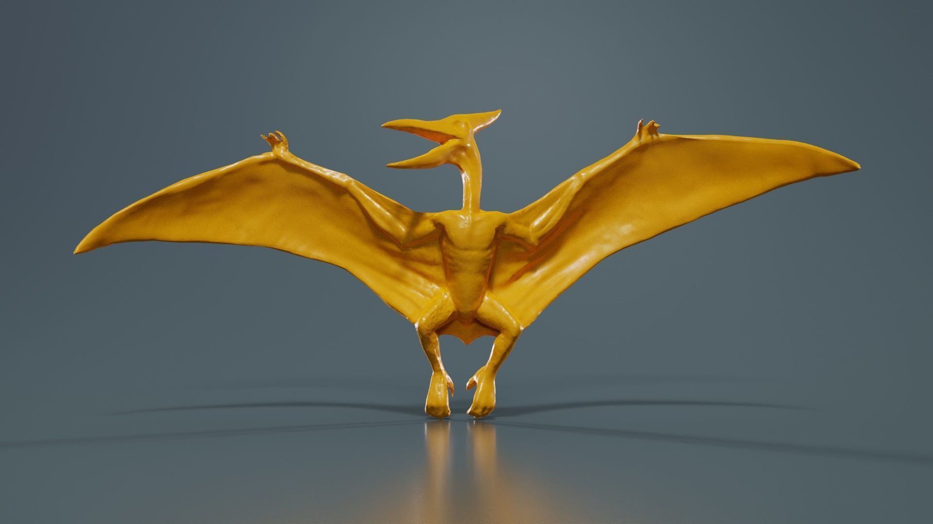 Pterodactylus Low-poly 3D model_12