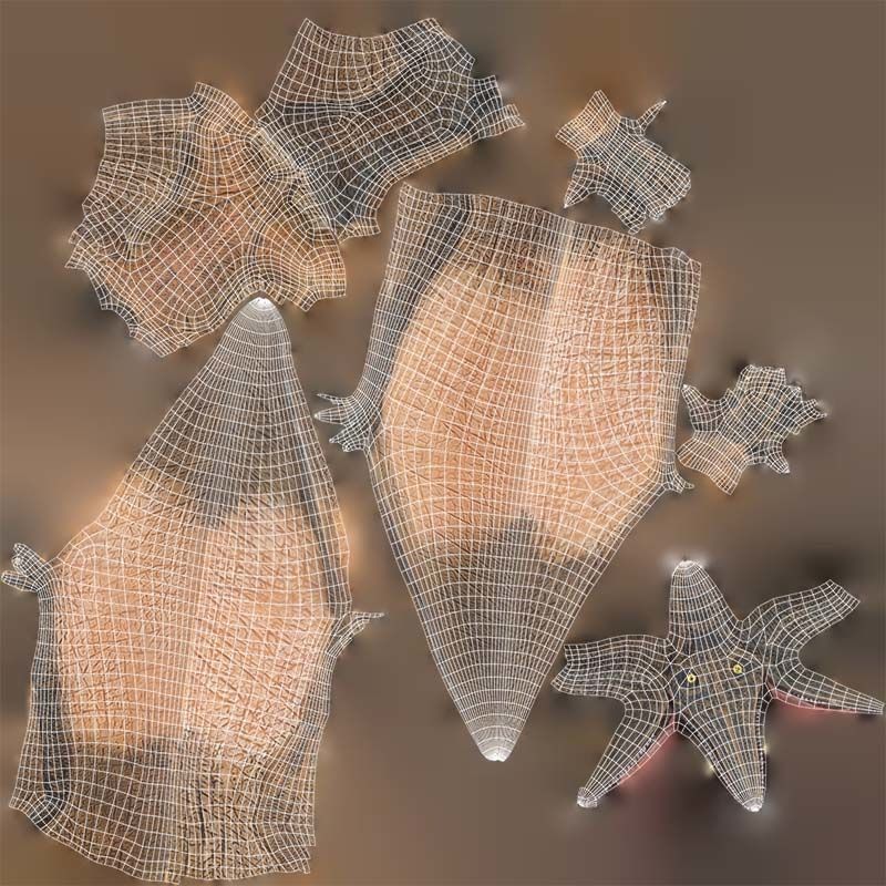 Pterodactylus Low-poly 3D model_14