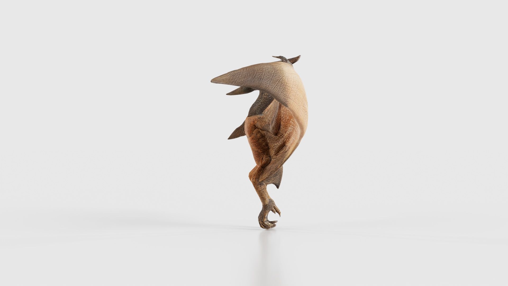 Pterodactylus Low-poly 3D model_24