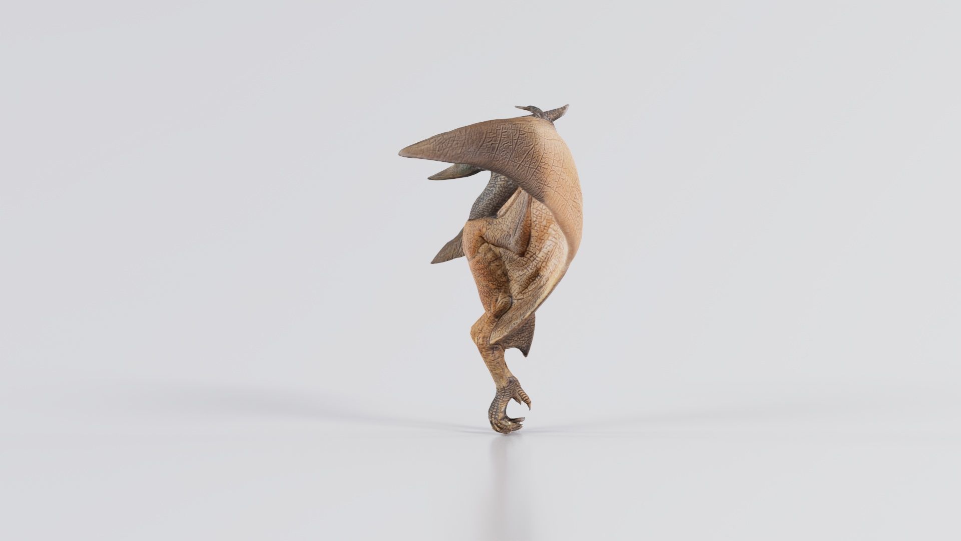 Pterodactylus Low-poly 3D model_4