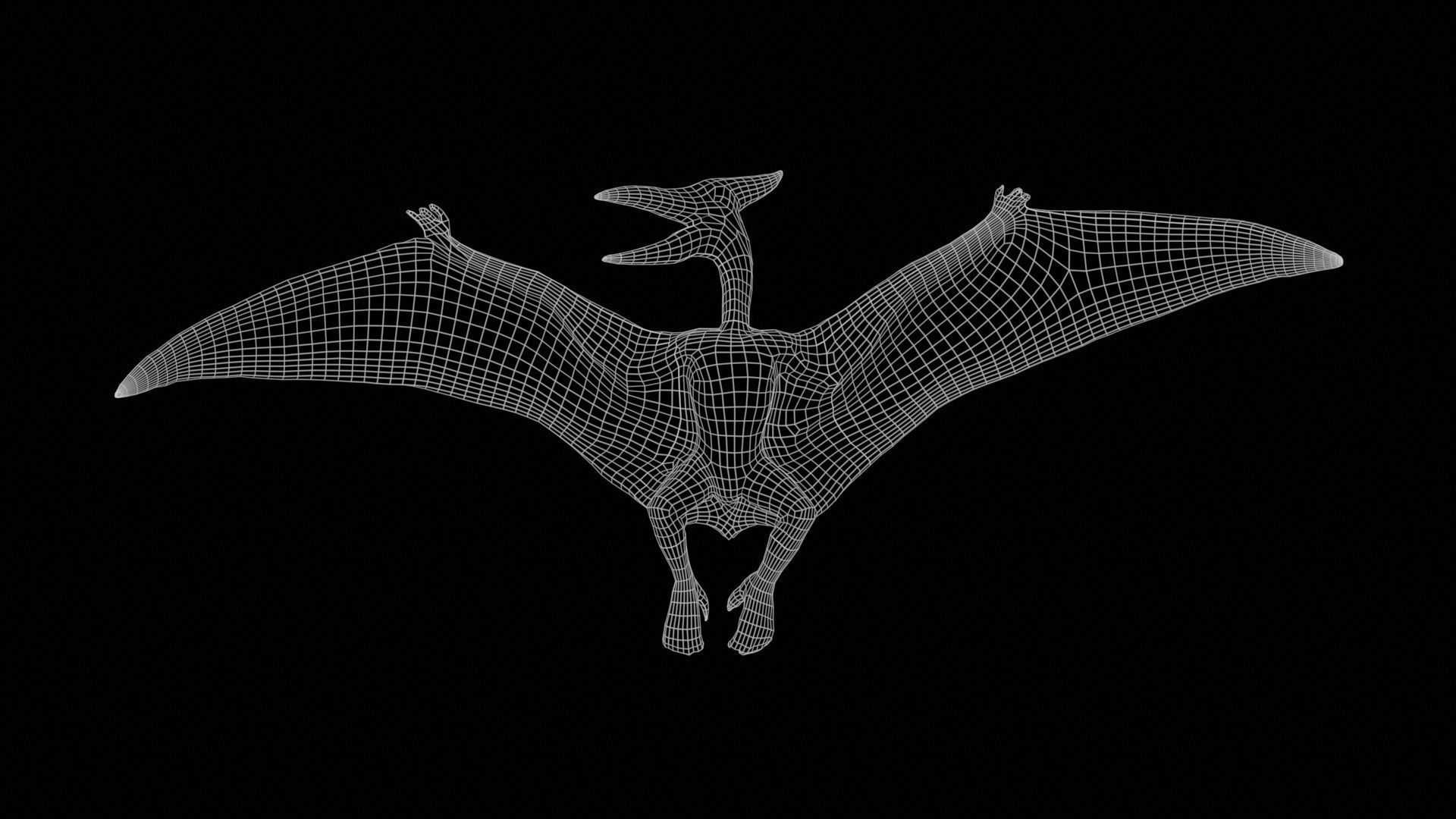 Pterodactylus Low-poly 3D model_11