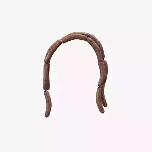 Sausage V03