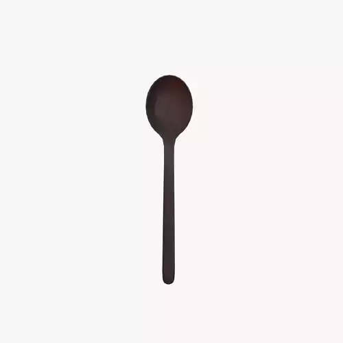 Spoon V04