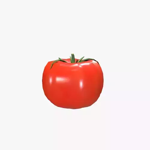Tomato
