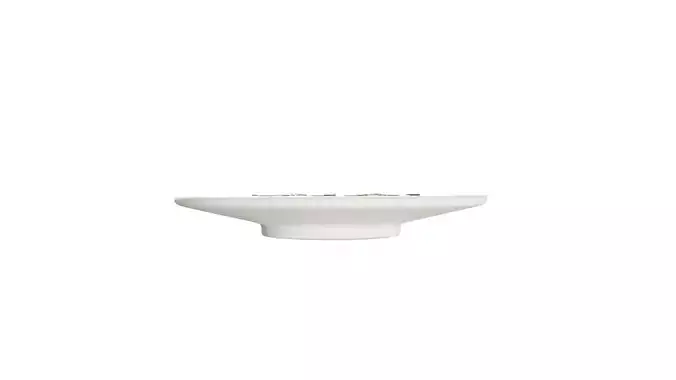 3D Food Omelet With Rig