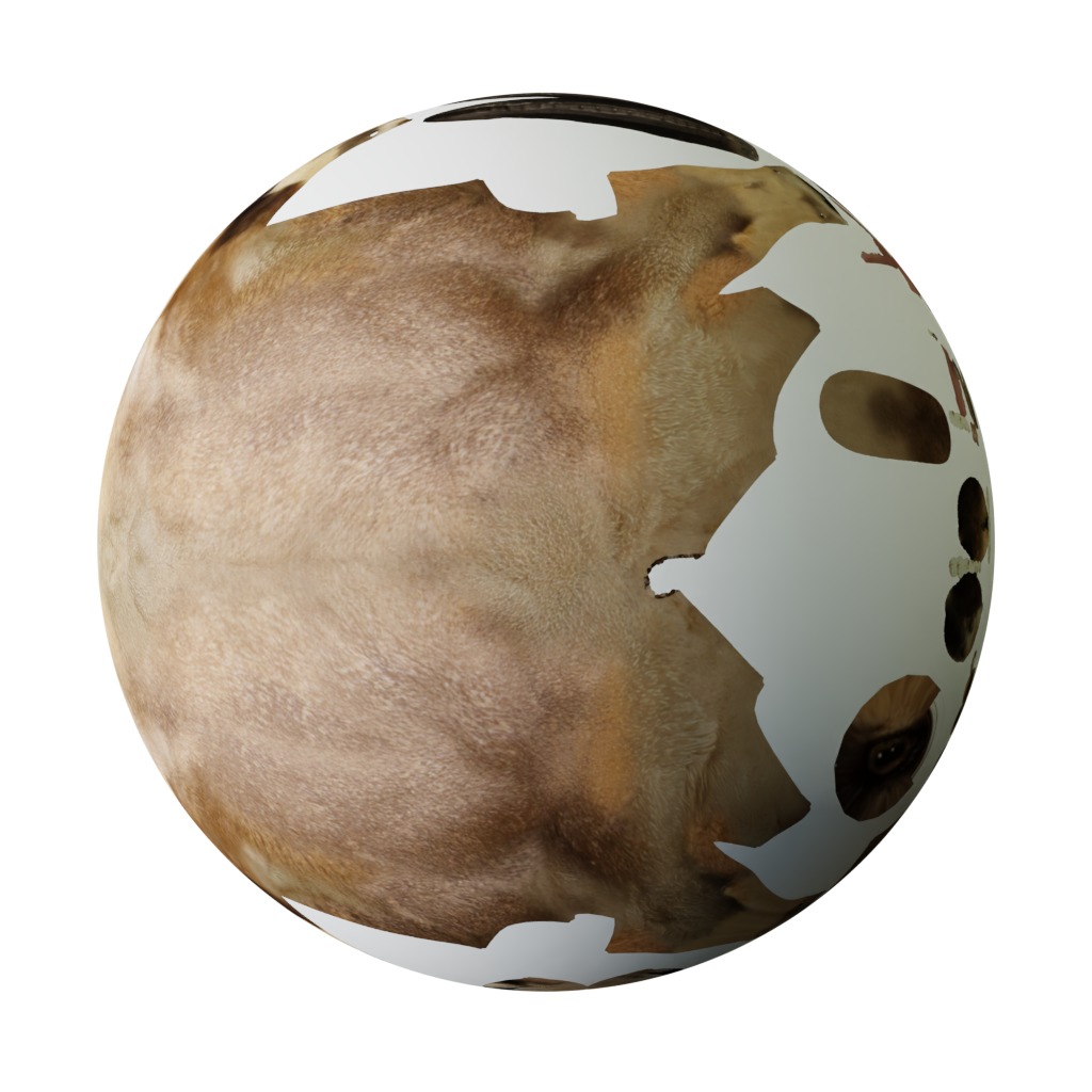 Nubian Ibex Goat Low-poly 3D model_25