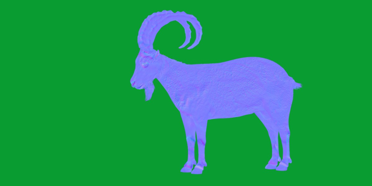 Nubian Ibex Goat Low-poly 3D model_23