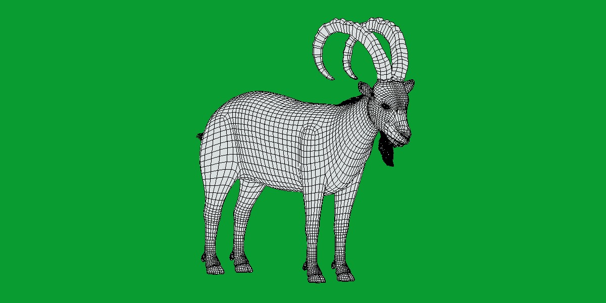 Nubian Ibex Goat Low-poly 3D model_10