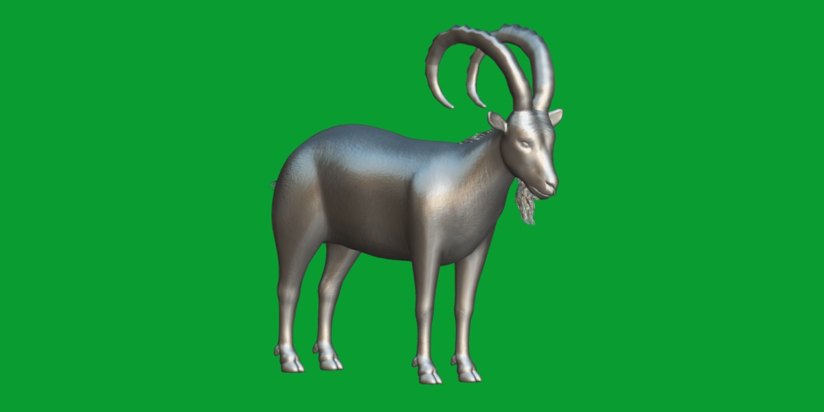 Nubian Ibex Goat Low-poly 3D model_9