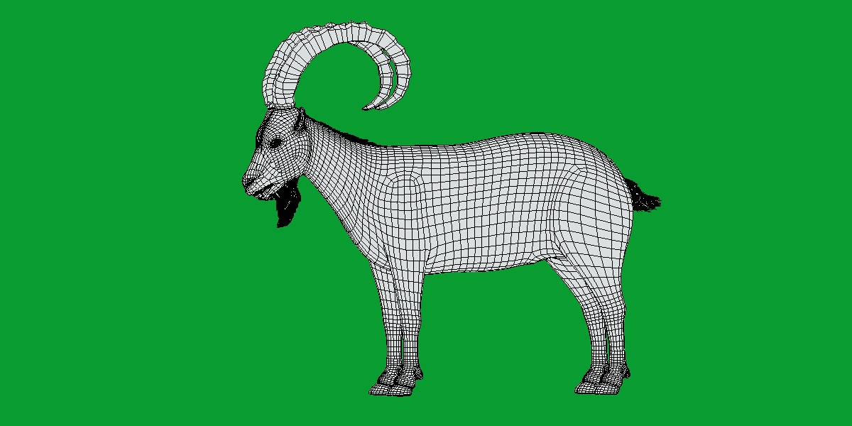 Nubian Ibex Goat Low-poly 3D model_11