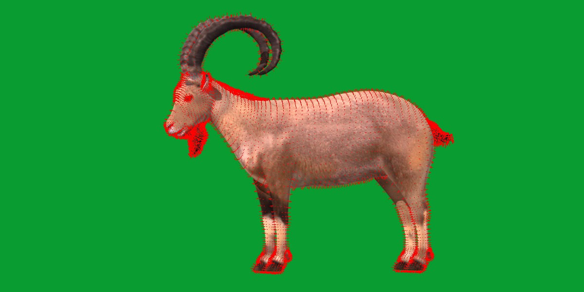 Nubian Ibex Goat Low-poly 3D model_12