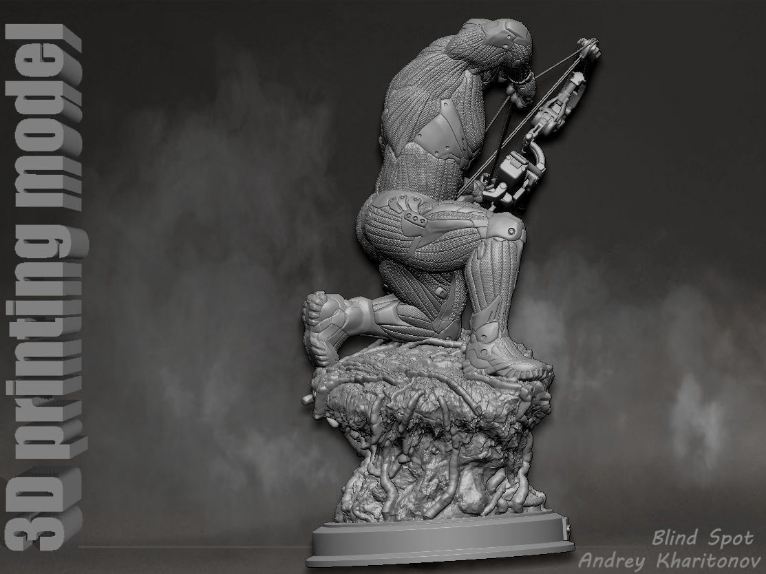 Crysis 3 3D print model_10