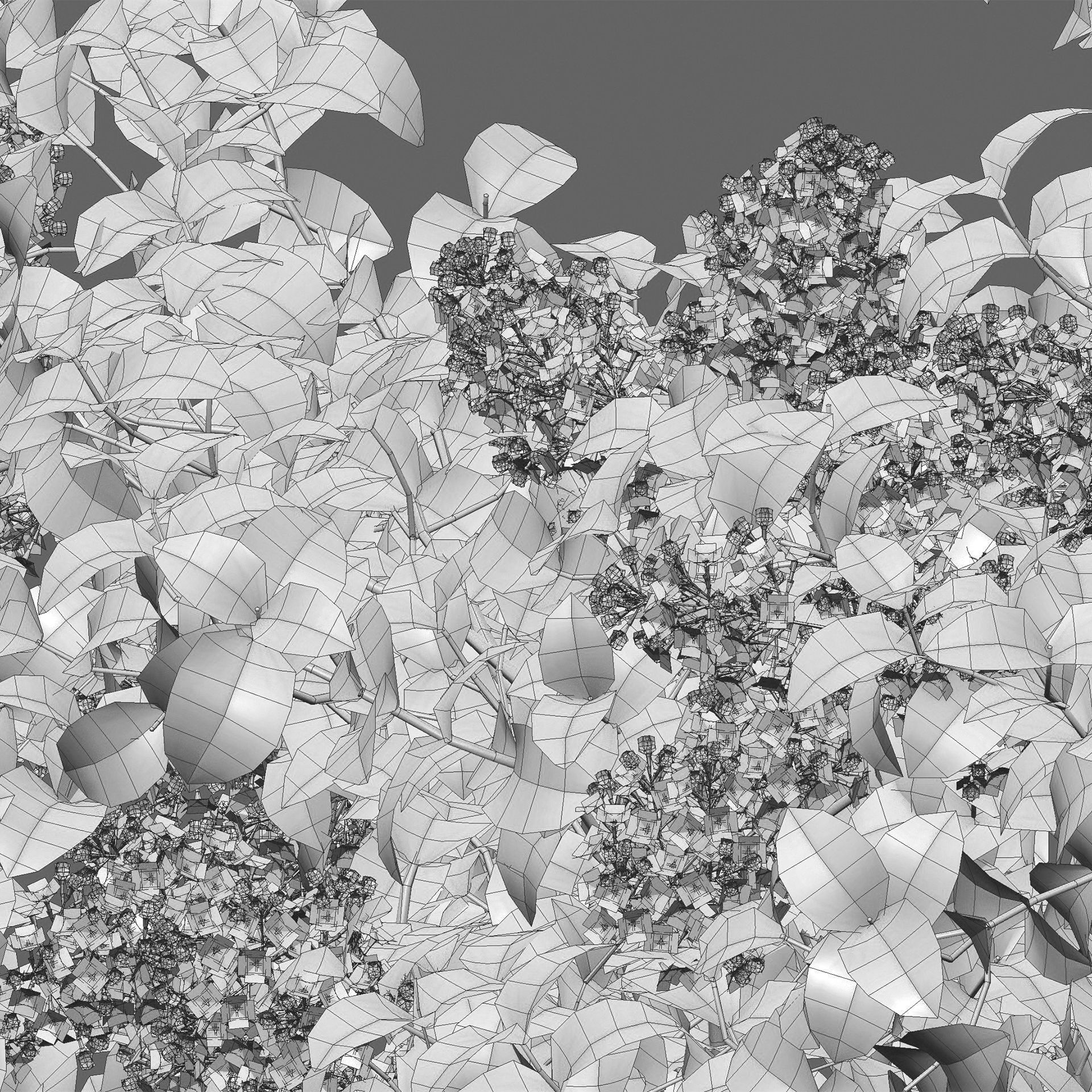 Syringa vulgaris - Common Lilac 02 Low-poly 3D model_5