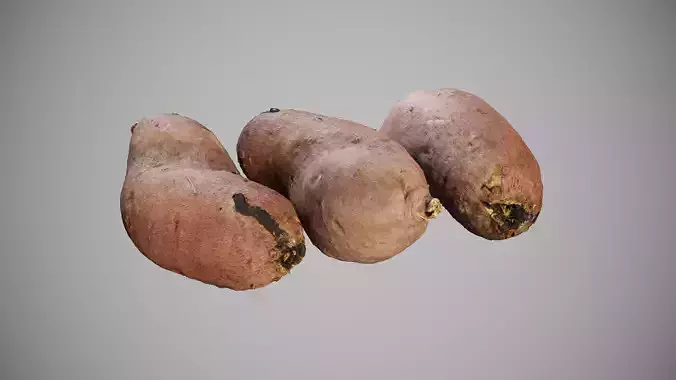 Sweet Potato - Photorealistic Scan