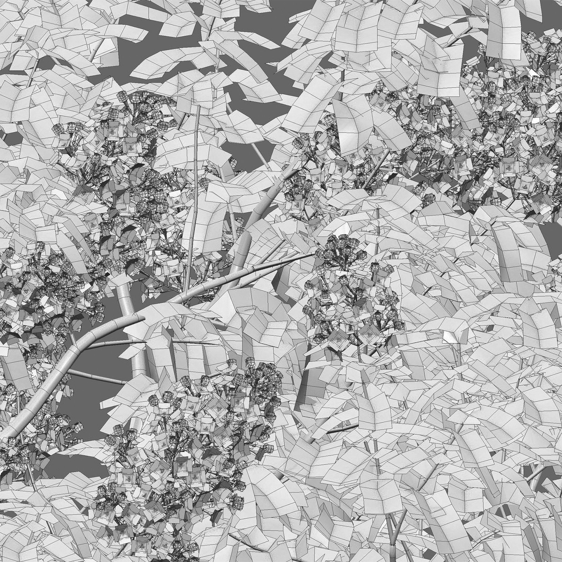 Syringa vulgaris - Common Lilac 04 Low-poly 3D model_4