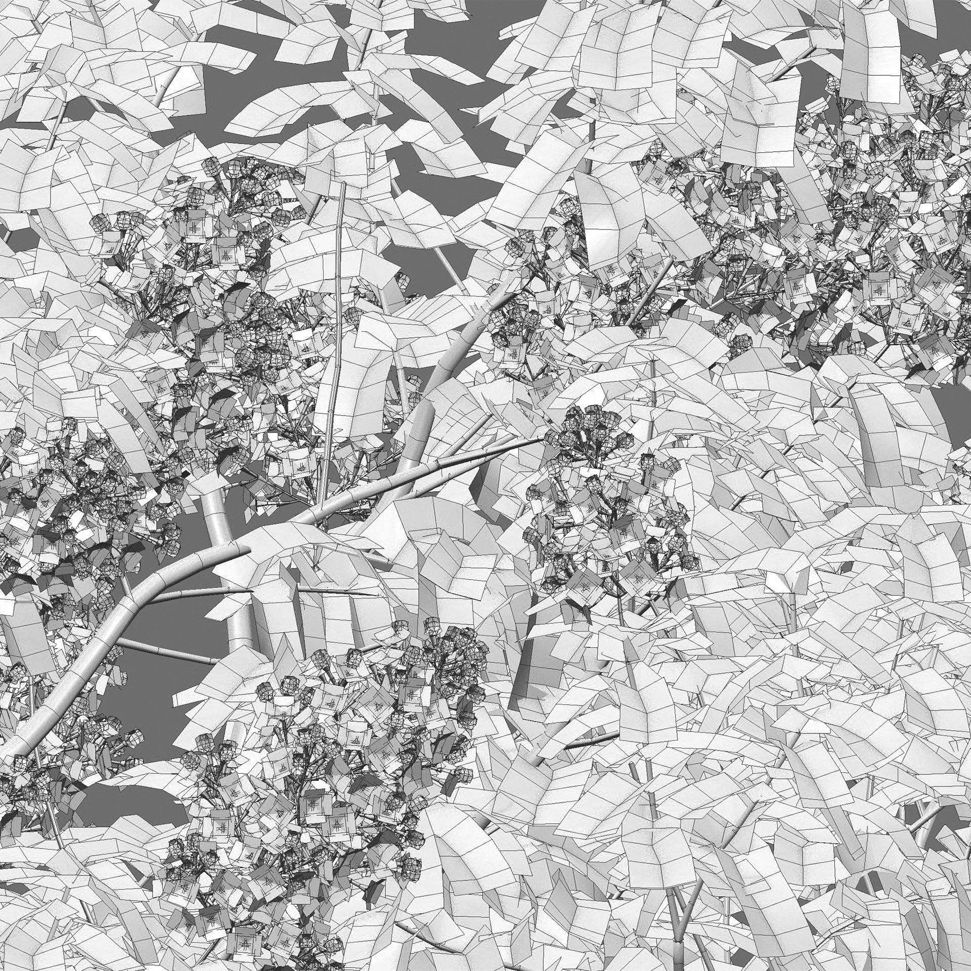 Syringa vulgaris - Common Lilac 03 Low-poly 3D model_4