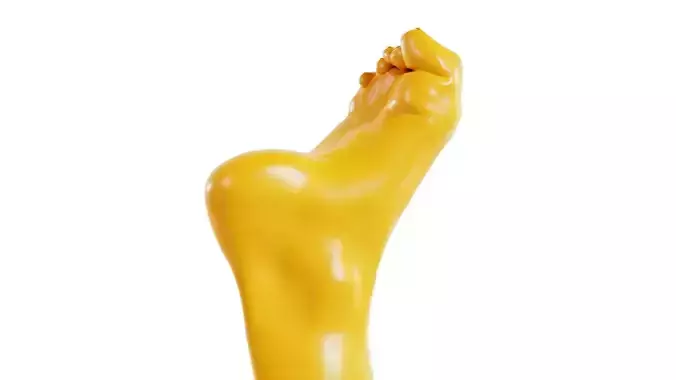 Claw Foot Realistic Foot Low-poly 3D model