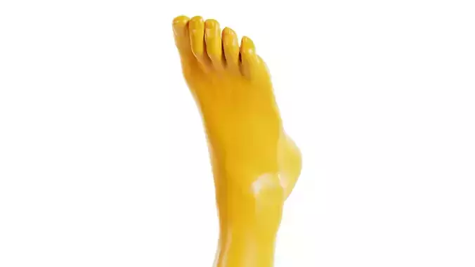 Neutral Pose Realistic Foot Low-poly 3D model