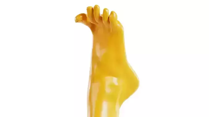 Open Toes Realistic Foot Low-poly 3D model