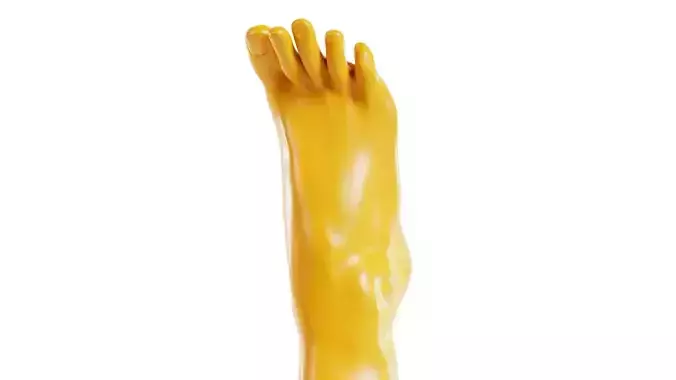 Tip Toes Heeled Realistic Foot