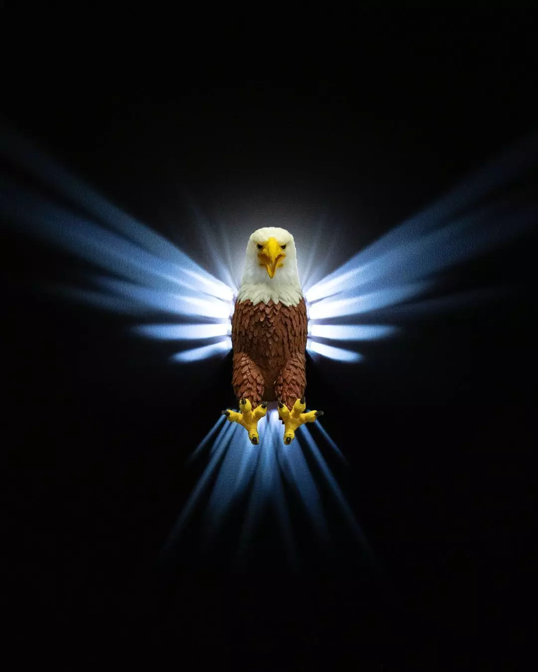 Realistic Eagle Wall Light 3D print model_0