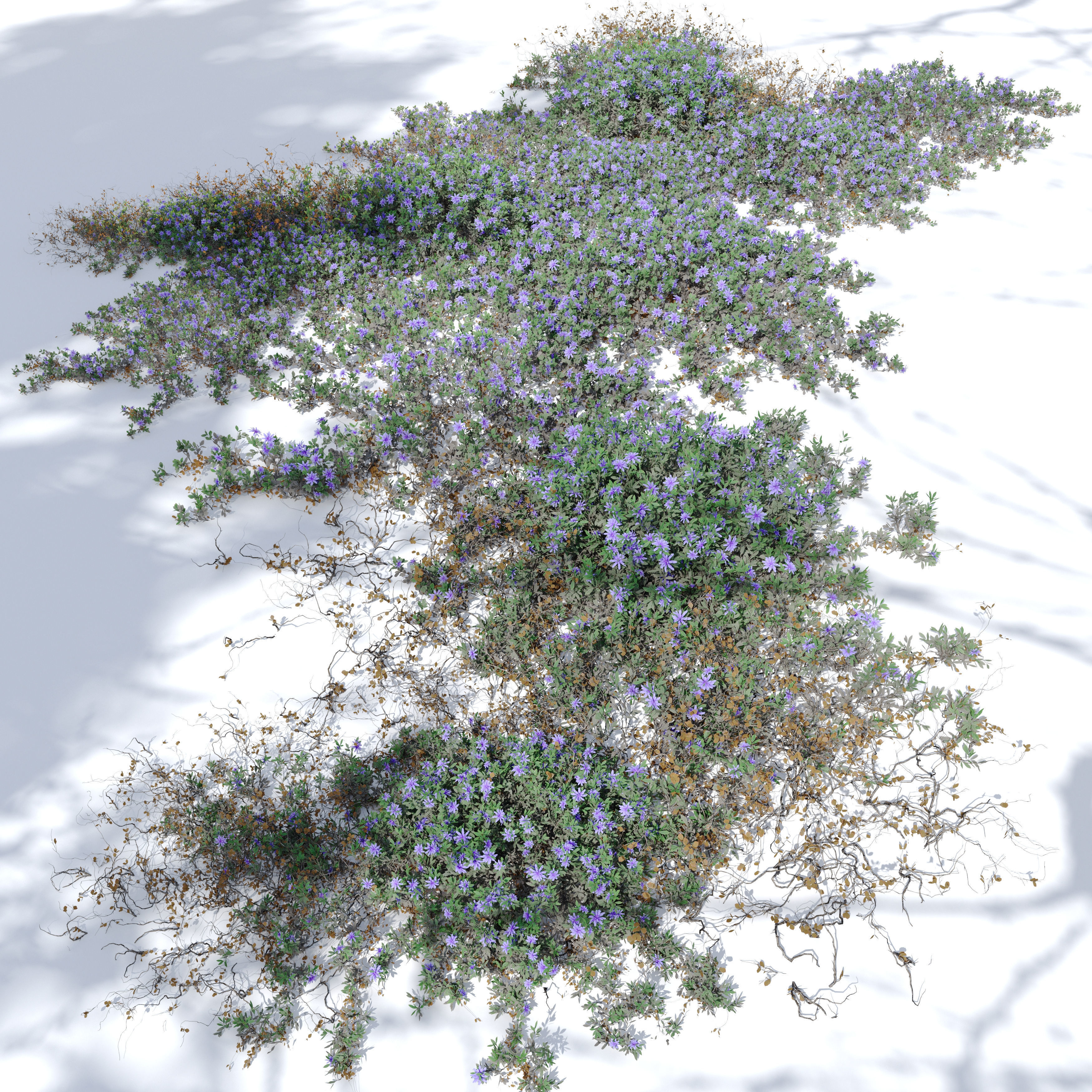 Flowering creeper 02 3D model_1