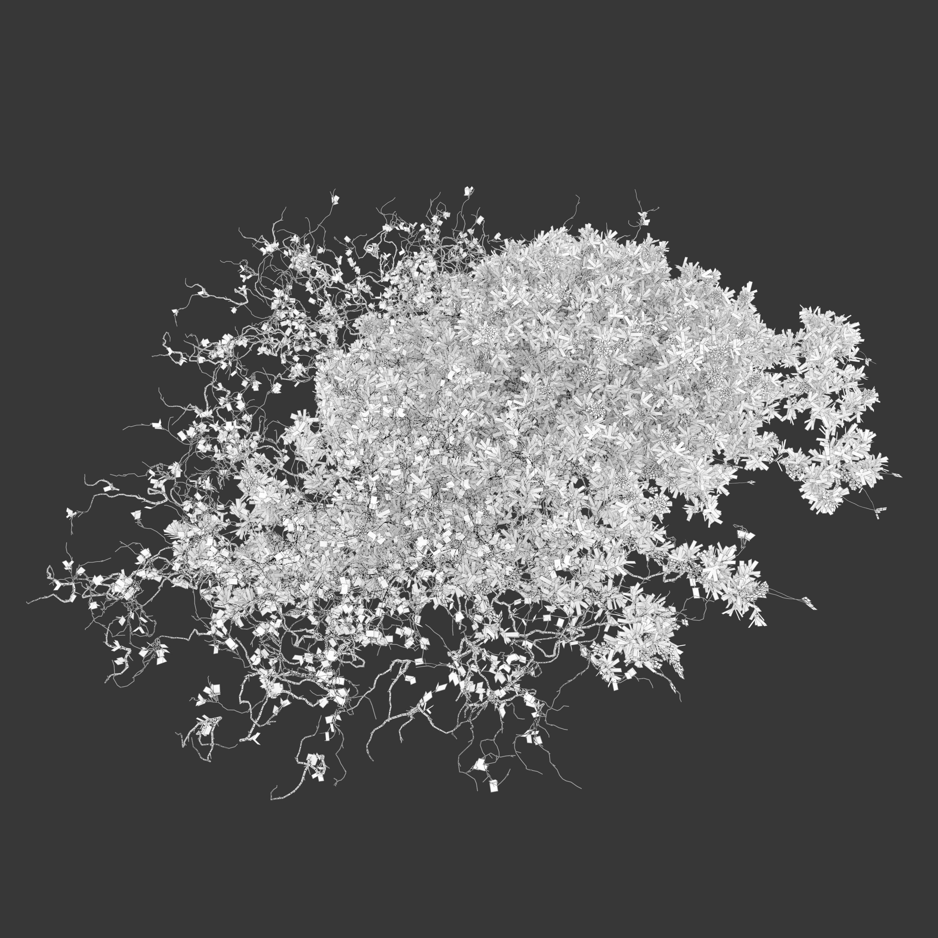 Flowering creeper 02 3D model_3