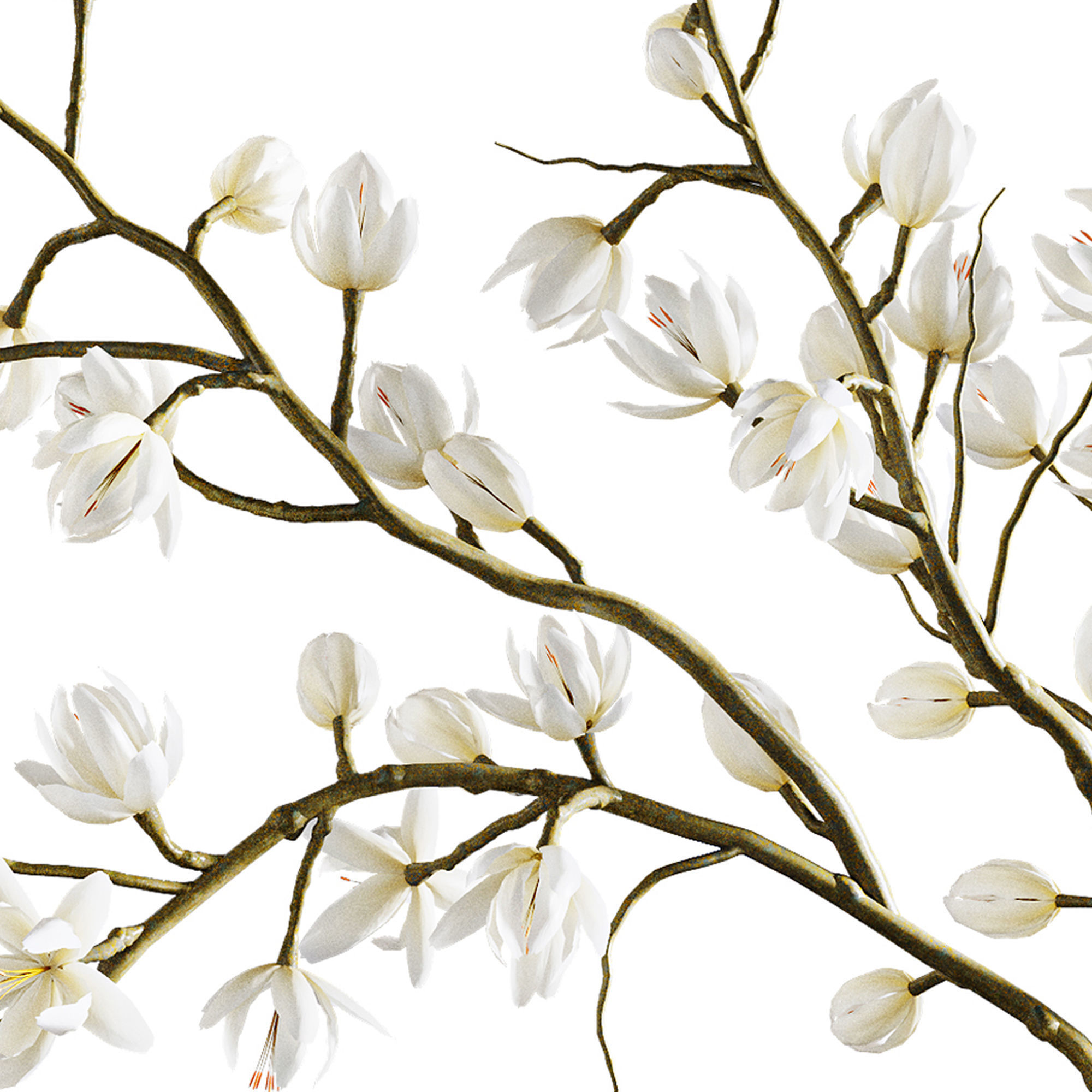 Plants collection set 9 3D model_2