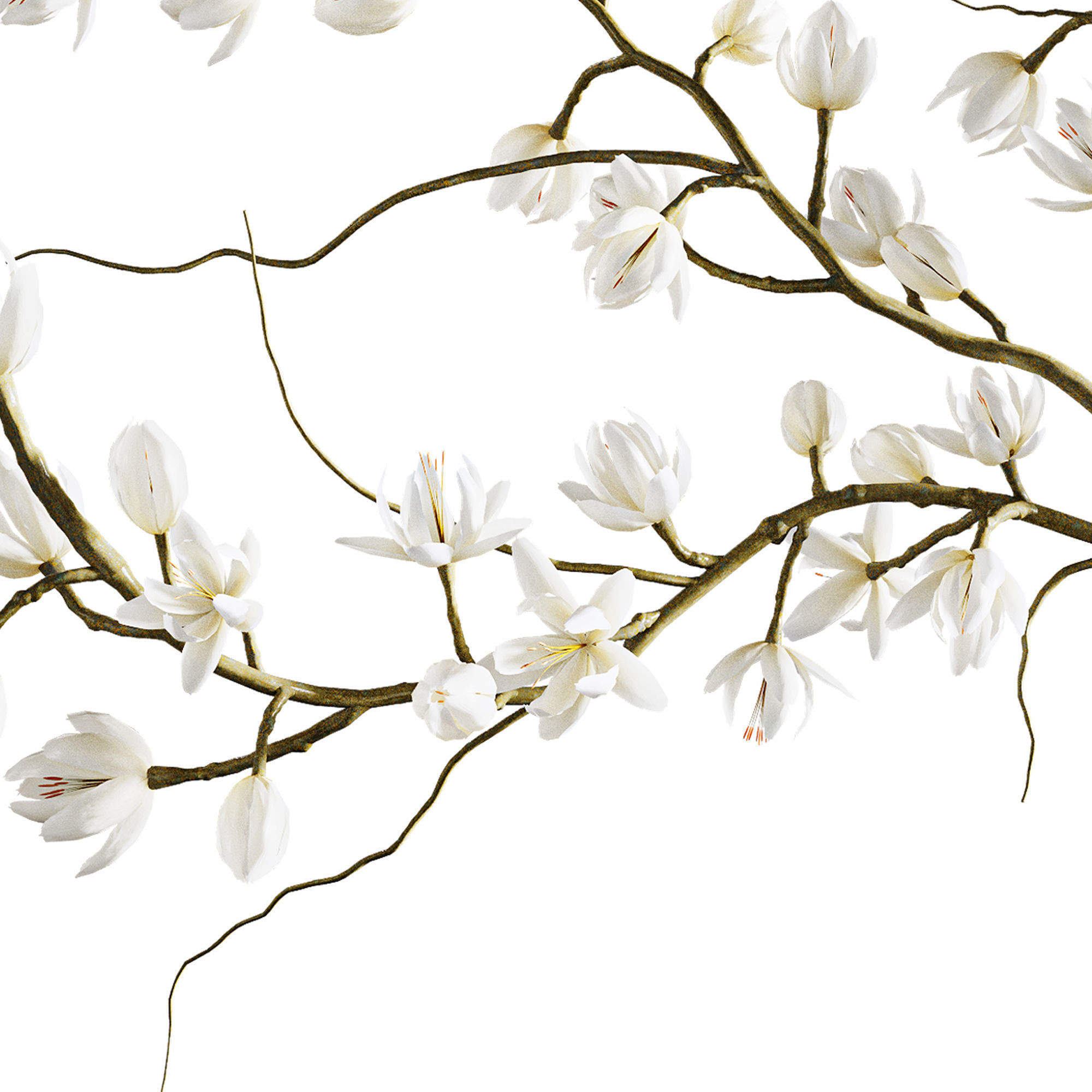 Plants collection set 9 3D model_4