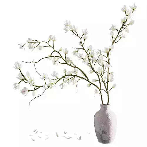 Plants collection set 9