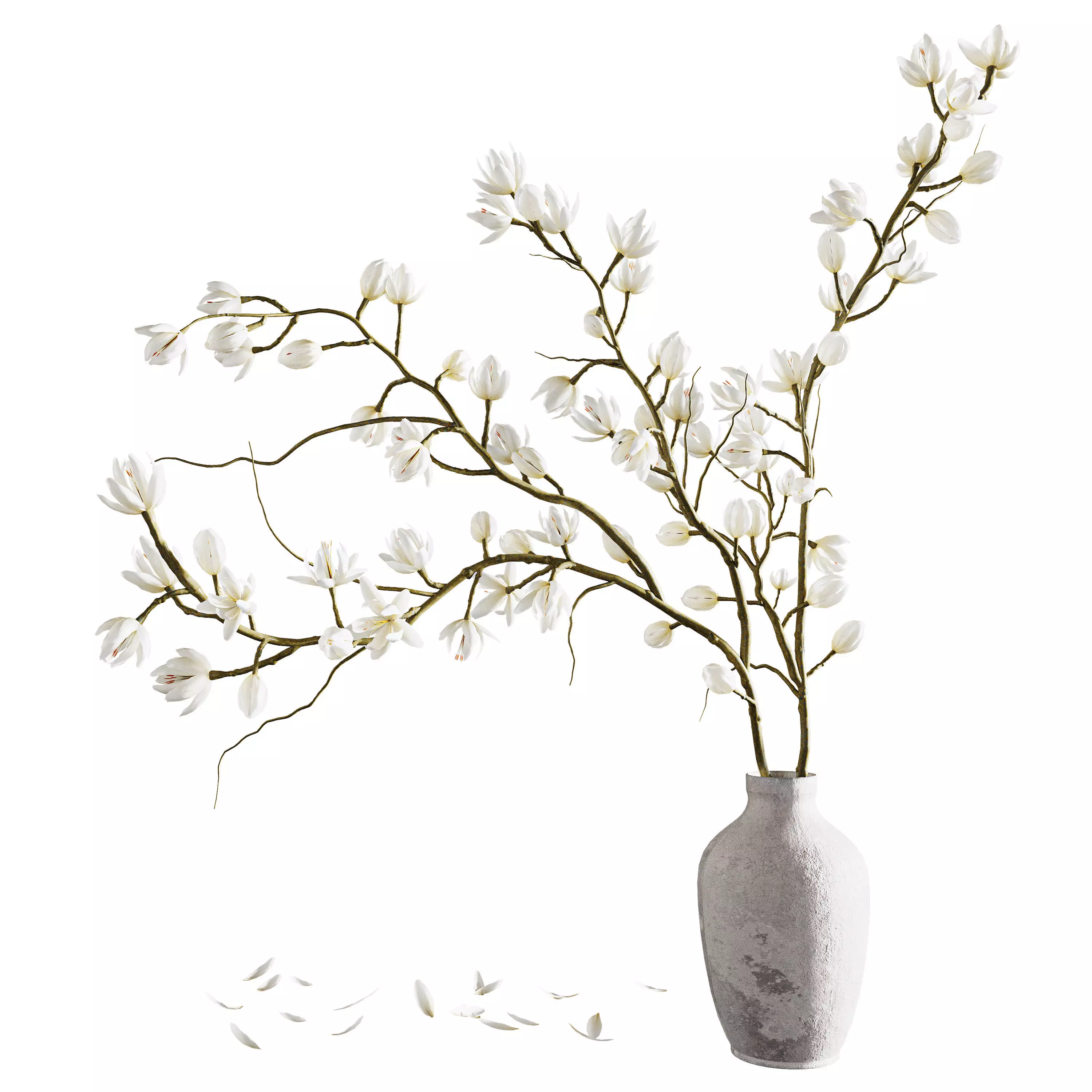 Plants collection set 9 3D model_0