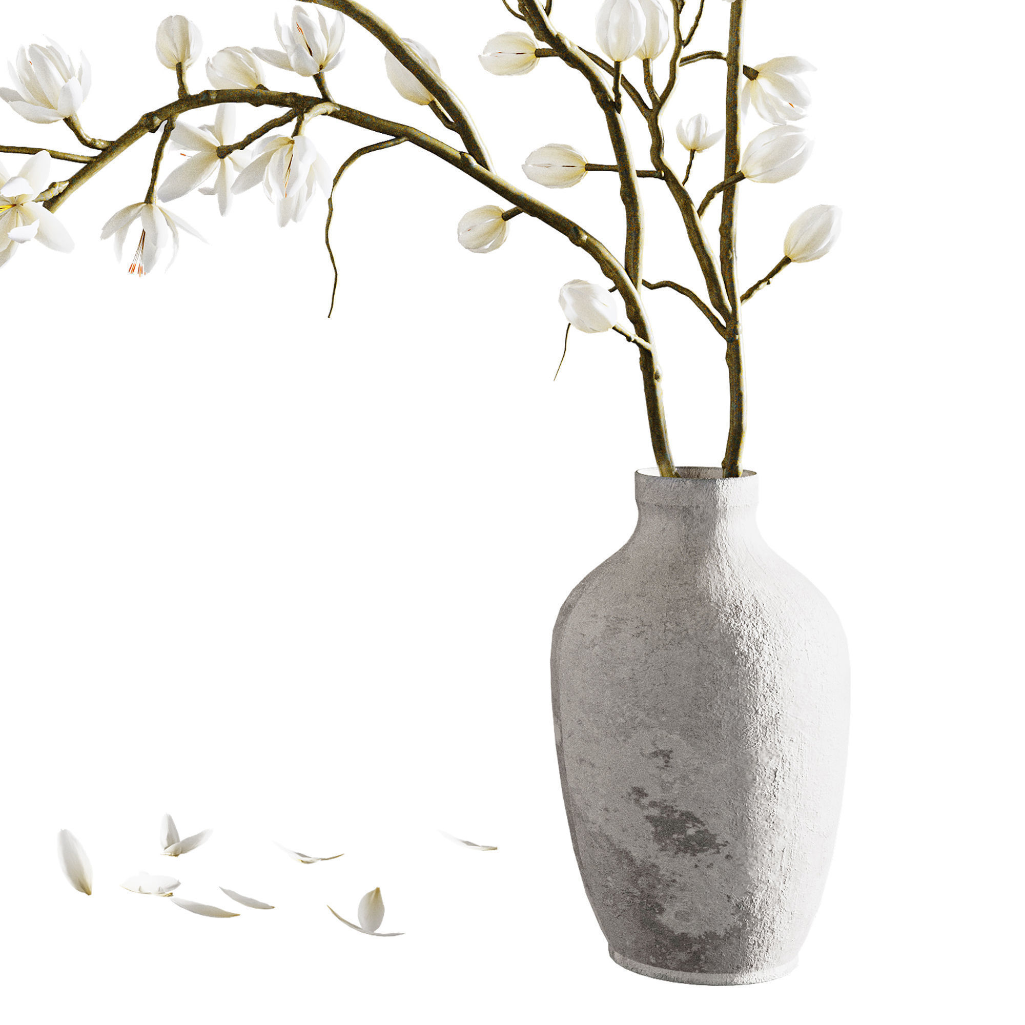 Plants collection set 9 3D model_3