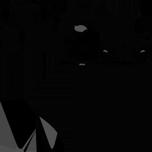 Furry 2B Nie 3D model