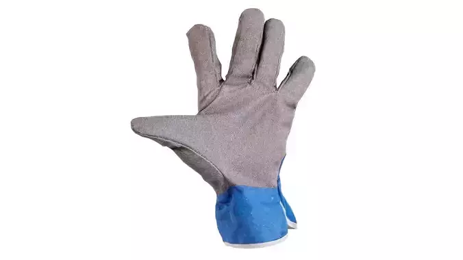 Gloved Hand 024
