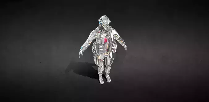 warrior   model 3D print model