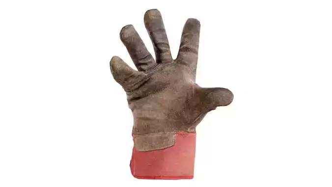 Gloved Hand 036