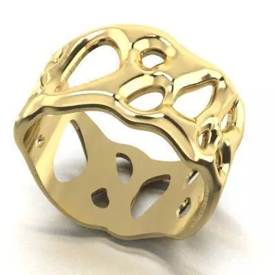 unusually shaped ring 3D print model_0