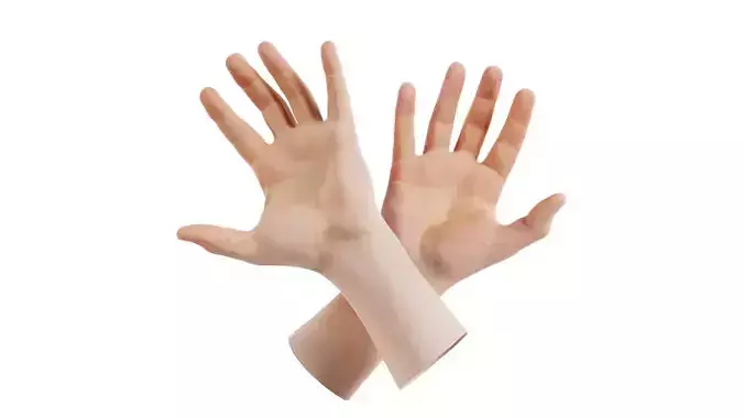Male Duo Hands 001 Low-poly 3D model