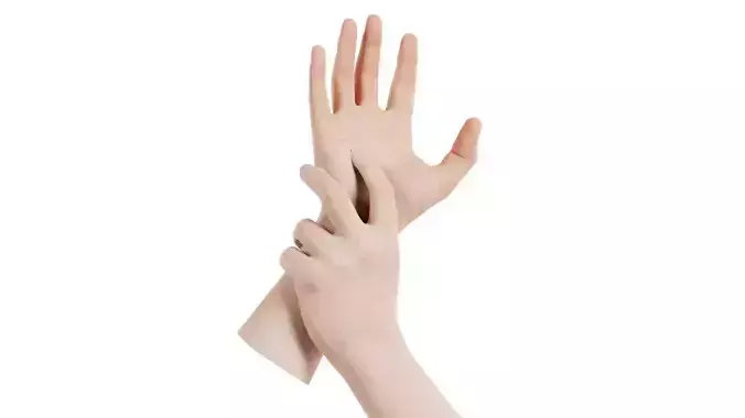 Male Duo Hands 002 Low-poly 3D model