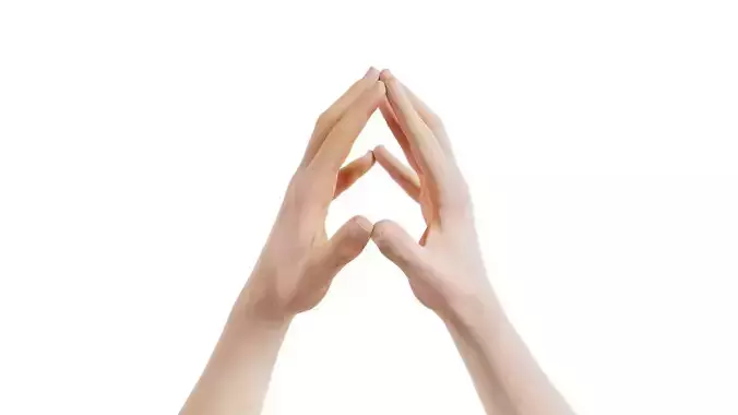 Male Duo Hands 003 Low-poly 3D model