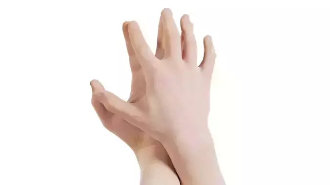 Male Duo Hands 004 Low-poly 3D model
