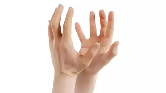 Male Duo Hands 005 Low-poly 3D model