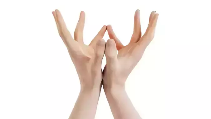 Male Duo Hands 012 Low-poly 3D model