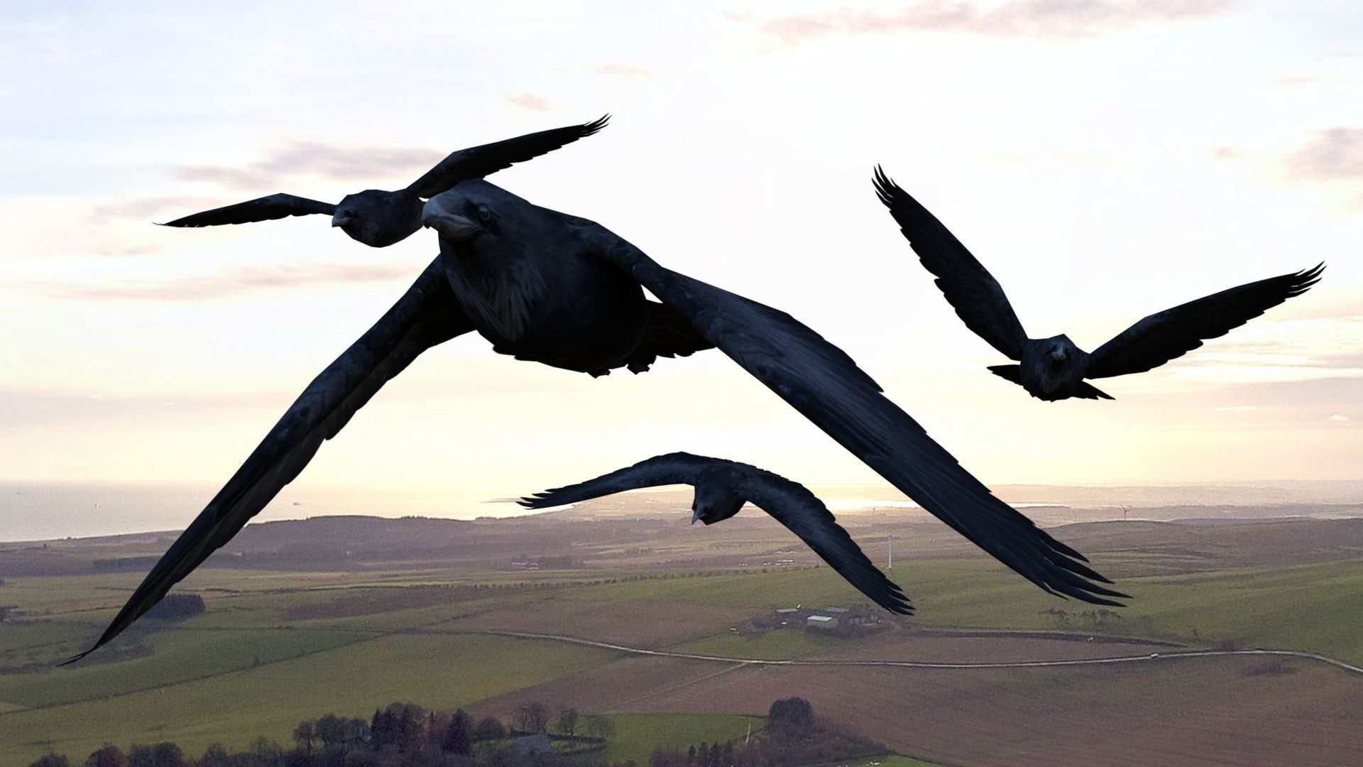 Animated low poly crow Low-poly 3D model_4