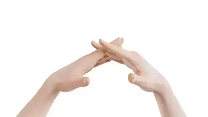 Male Duo Hands 014 Low-poly 3D model